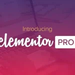 Elementor pro plugin